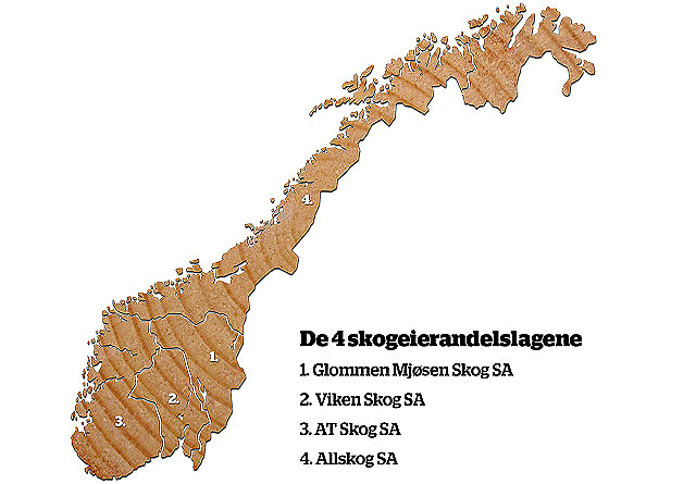 Inndeling som viser de fire skogeierlagene