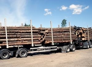 Kjører stadig tyngre tømmerbiler