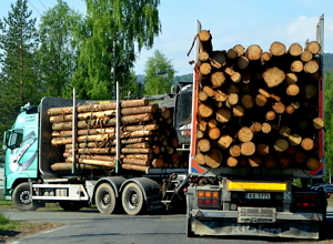 Veikart for treforedlingsindustrien