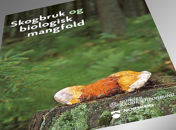 Brosjyren Skogbruk og biologisk mangfold er gitt ut av Norges Skogeierforbund og Norskog. 
