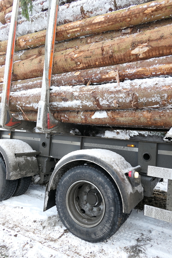 Det er sjåføren som har ansvaret for at tømmertransporten foregår lovlig. 