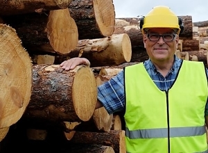 Skal sortere tømmer med røntgen