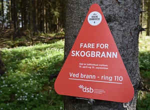 Godt år for Skogbrand forsikring