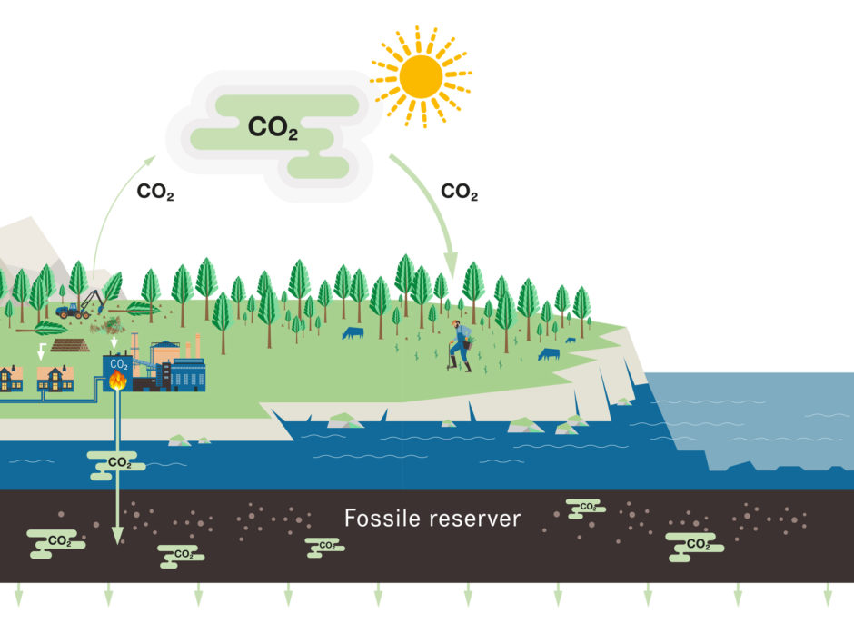 KARBONNEGATIVT KRETSLØP: Skogplanting og bioenergi med karbonfangst og -lagring er to tiltak som bidrar til å fjerne CO2 fra atmosfæren.