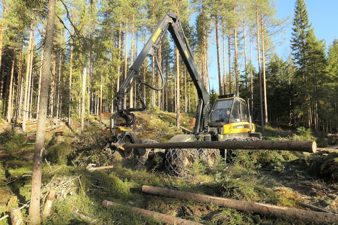 Norsk skogbruk skaper arbeidsplasser og verdier over hele landet, og det er en typisk distriktsnæring. Foto: Roar Ree Kirkevold