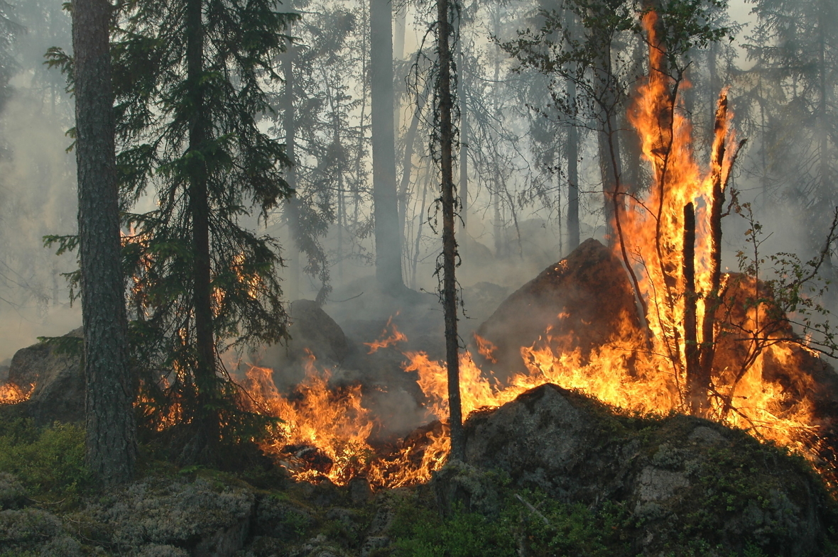 ALVORLIG UTVIKLING: En dyster start på sommersesongen kan resultere i et nytt rekordår for skogbranner her i landet, advarer forsikringsbransjen. 