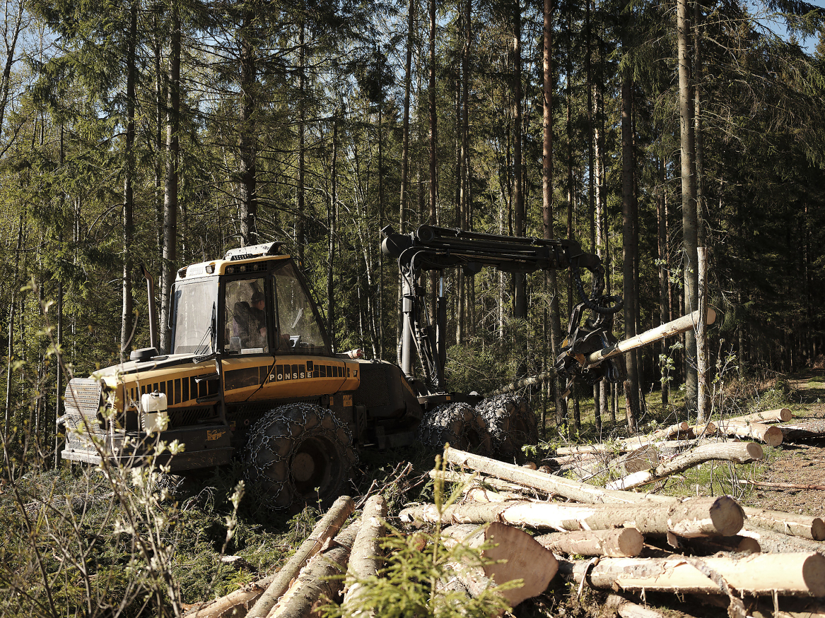 Regjeringen ønsker å legge til rette for at flere av tømmerstokkene videreforedles i Norge. 