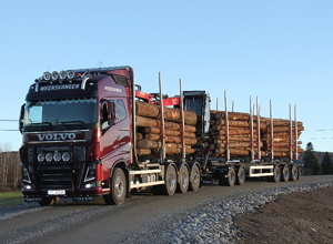 Vil effektivisere tømmertransporten